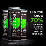 Equinox organic cola and lime kombucha can (British brand)