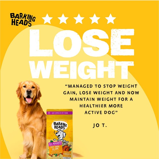 Barking Heads Fat Dog Slim wet dog food 300g - British product