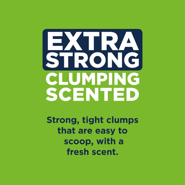 Ever Clean extra strong scented clumping cat litter 10L - British product