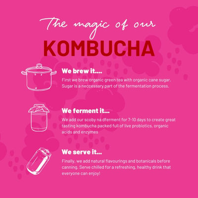 One Living Bringebær Kombucha Multipack 4 x 250ml