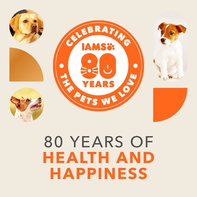 IAMS senior dog food small medium breed chicken, UK version