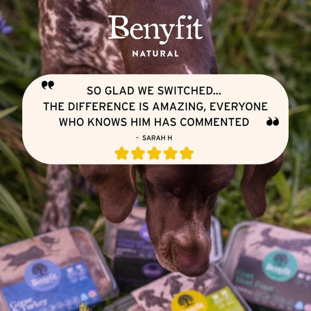Benyfit Natural chicken raw dog food 1kg - British product