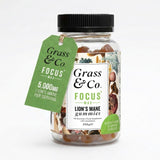 Grass & Co. Focus Lion's Mane gummies lemon elderflower - British product