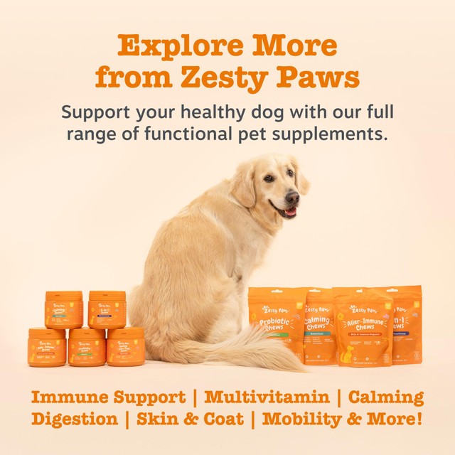 Zesty Paws dog chews probiotic pumpkin flavour - British product