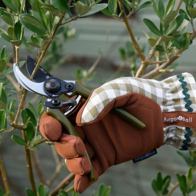 Burgon & Ball olive micro secateurs with high-carbon steel blade, UK version