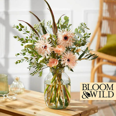 Sainsburys Bloom Wild De Fantastiske Blomstene- Kjøp online hos McGrocer