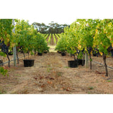 Robert Oatley Signature Series Chardonnay 75cl white wine, imported from the UK