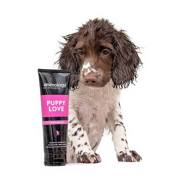 Animology Puppy Love Shampoo 250ml - British product
