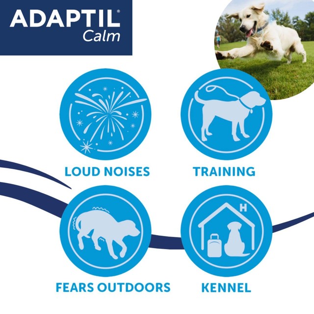 Adaptil Dog Calming Collar Medium/Large (British brand)
