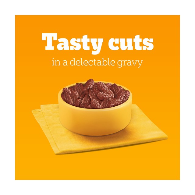 Pedigree wet dog food pouches mixed gravy 40 x 100g, imported from the UK