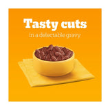 Pedigree wet dog food pouches mixed gravy 40 x 100g, imported from the UK