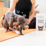 Edgard & Cooper apple eucalyptus small dog dental sticks - British product