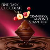 Lindt dark chocolate bar cranberry almond hazelnut 100g, UK version