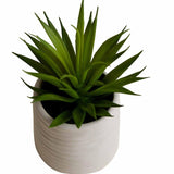 M&S artificial mini air plant in ceramic pot - British product