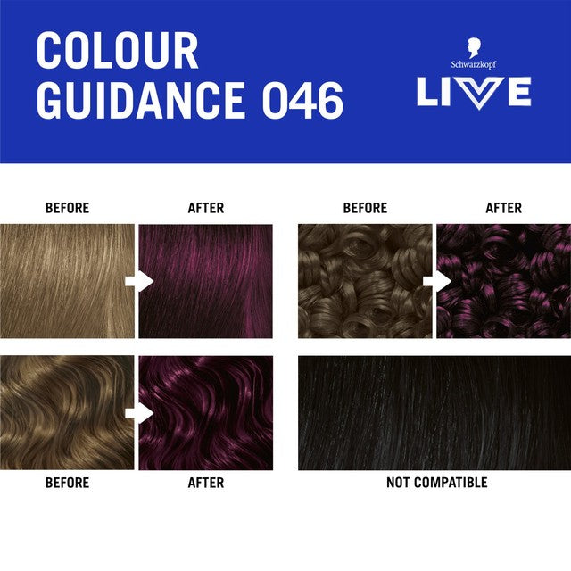 Schwarzkopf LIVE Intense Colour 046 Cyber Purple hair dye kit (British brand)