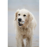Petface Outdoor Paws Mighty Ball Dog Toy Large, imported from the UK