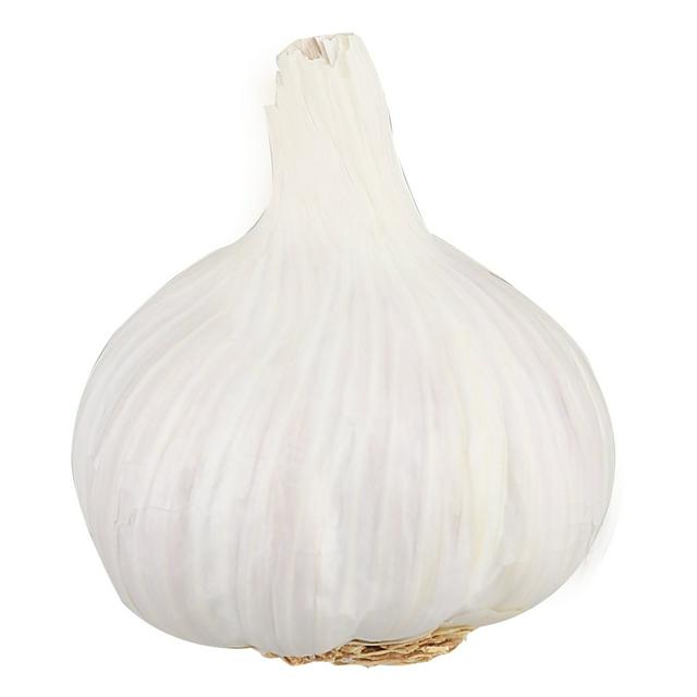 Sainsburys Garlic
