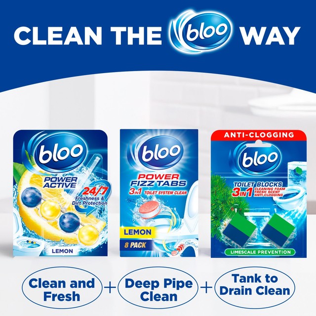 Bloo toilet cleaner block anti-clog pine scent 2x50g - British product