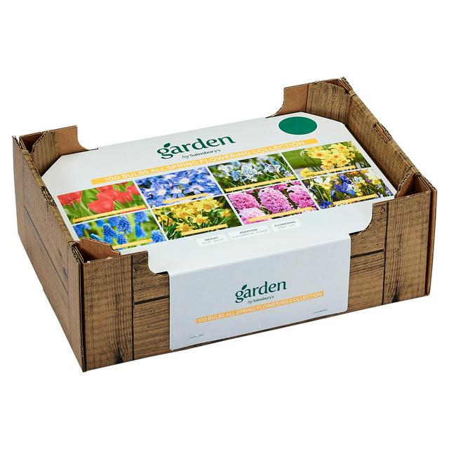 All Spring Flowering Bulb Assortment with Multiple Varieties