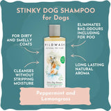WildWash Stinky Dog Shampoo 250ml (British brand)