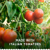 Barilla red pesto tomato balsamic sauce 200g - British product