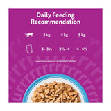 Whiskas wet cat food Fish Favourites in Jelly 12 x 85g (British brand)