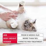 Beaphar FIPROtec Spot-On for Cats 6 pack - British product