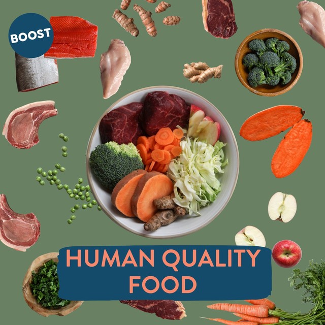Boost Pet Meat Feast complete dog meal (British brand)