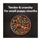 Cesar dry puppy food with chicken rice vegetables 1.4kg (British brand)