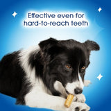 Dentalife medium chicken dog dental chews - British product