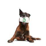 Bark Pupkin Spice Yappucino dog toy - British product