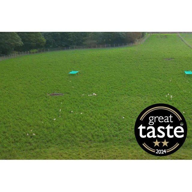 Packington free range white eggs 6 pack, imported from the UK