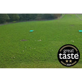 Packington free range white eggs 6 pack, imported from the UK