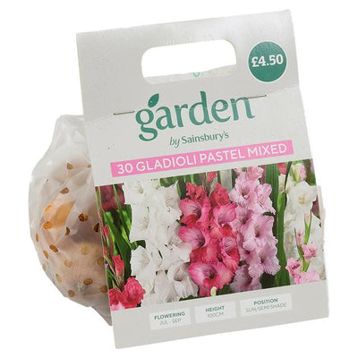 Sainsburys Gladioli Pastel Mixed x30- اشترِ عبر الإنترنت من McGrocer
