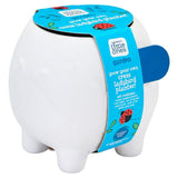 Sainsburys Little Ones Grow Your Own Pyo Ladybird Planter