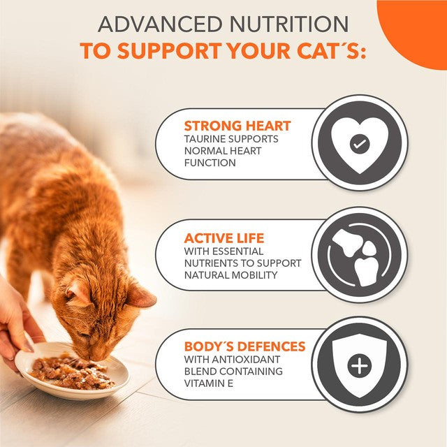 IAMS cat food variety mix 48 pouches 85g each, UK version
