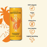 Equinox organic pineapple mango kombucha can, imported from the UK