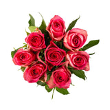 Pink Roses