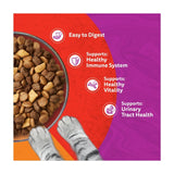 Whiskas dry cat food Duo Meaty Combo 800g (British brand)