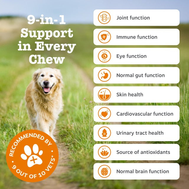 Zesty Paws senior dog chews turkey flavour, imported from the UK
