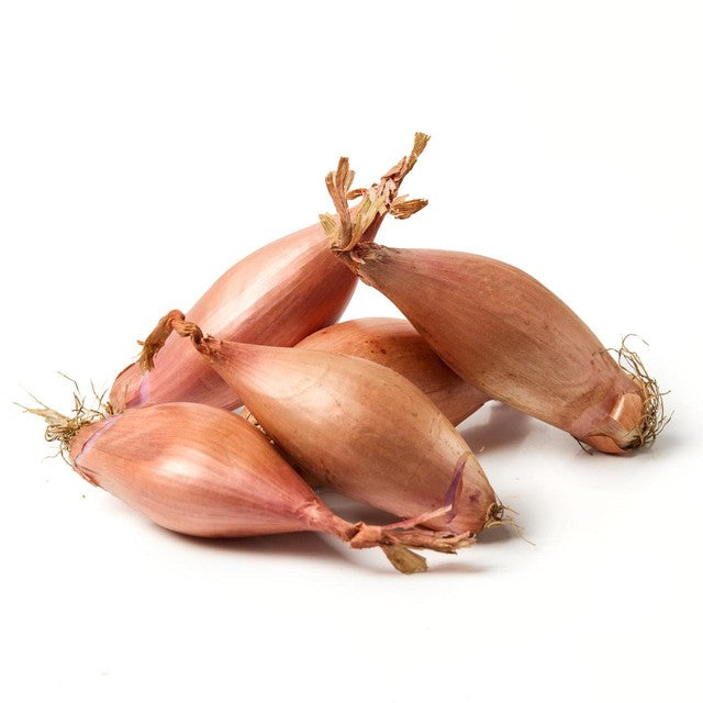 Natoora Large Echalion Shallots 450g imported from the UK