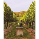 Chapel Down Kits Coty Blanc de Blancs sparkling wine, imported from the UK