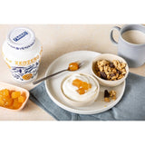 Fabbri candied ginger in turmeric and ginger syrup 600g (British brand)