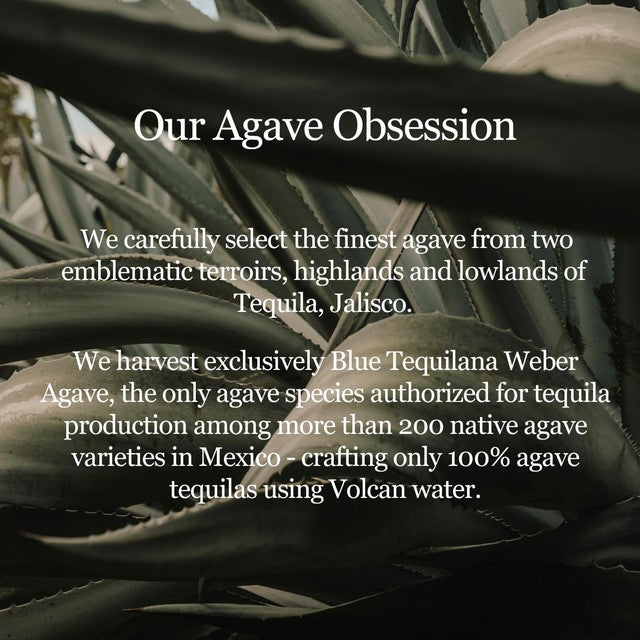 Volcan Blanco tequila 70cl (British brand)