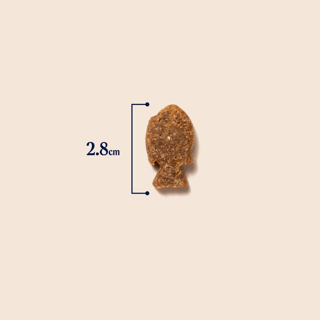 Pooch & Mutt health and digestion meaty dog treats, imported from the UK