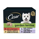 Cesar Garden Terrine Dog Food Tray Mixed in Loaf