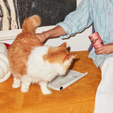 Katkin salmon cat treats 50g, UK version