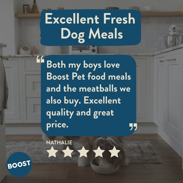 Boost Pet Meat Feast complete dog meal (British brand)