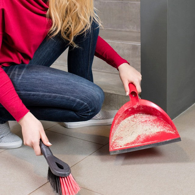 Vileda 2-in-1 dustpan and brush set (British brand)