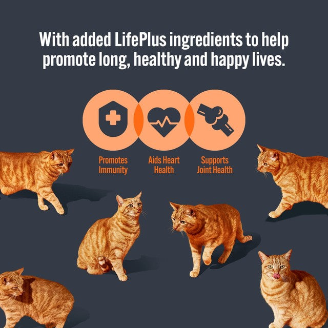 HiLife mature cat food variety pack with chicken and tuna in jelly 32 x 70g, UK version